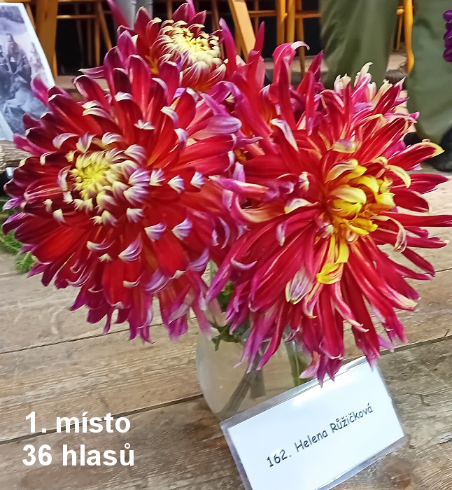 01-1 misto.jpg